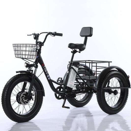 LWCHUANG 500w Electric Bike for Seniors